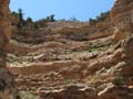 Grand Canyon - Poor Mules climbing